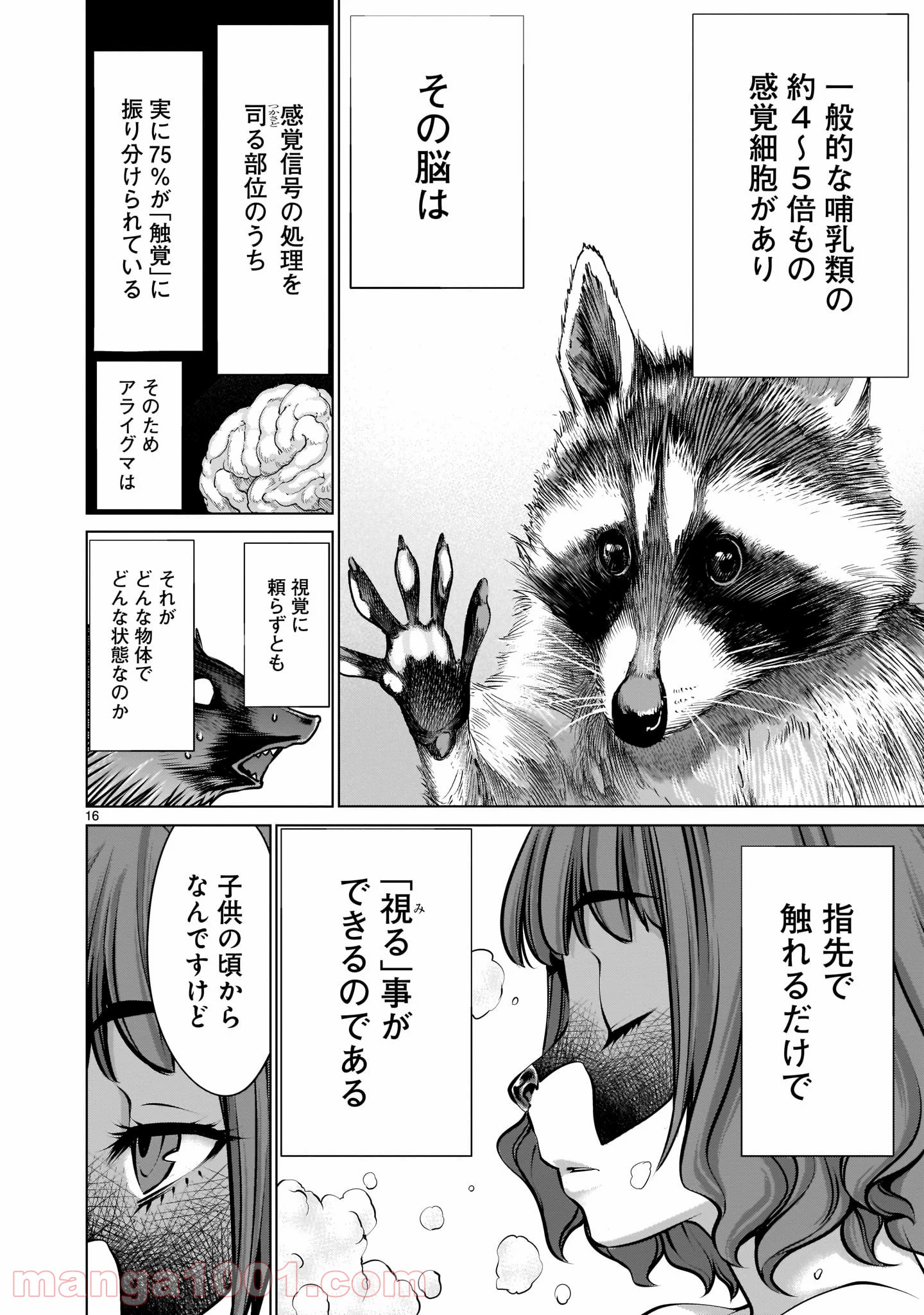 P16