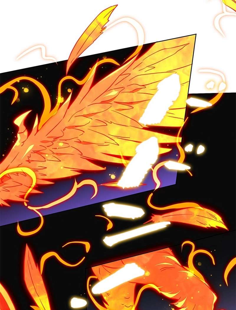 P24
