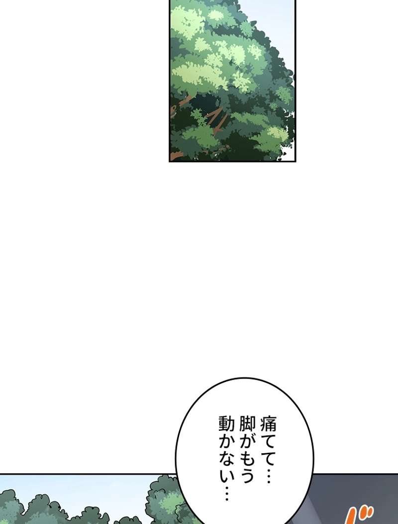 P48
