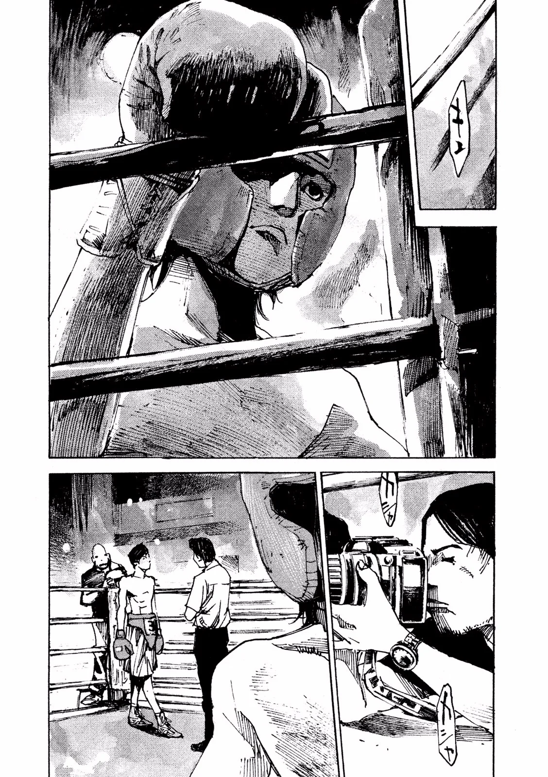 P31