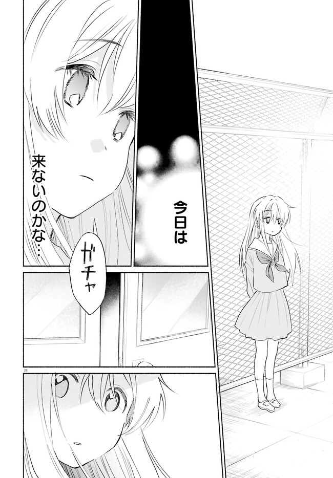 P26