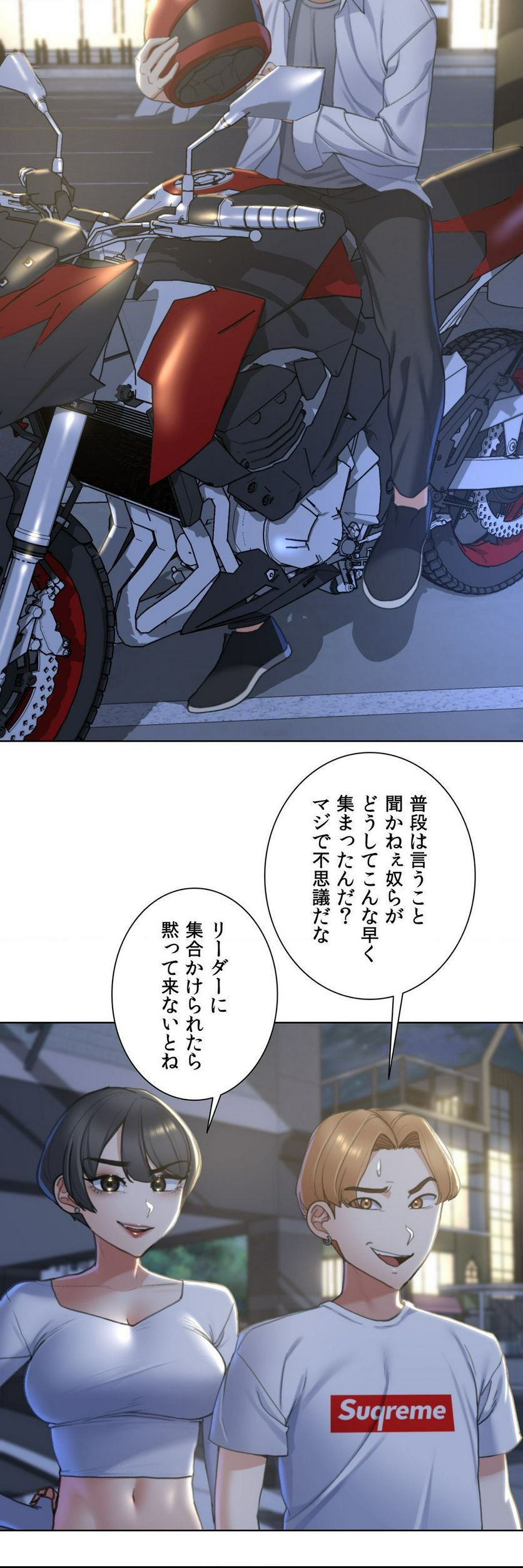 P53