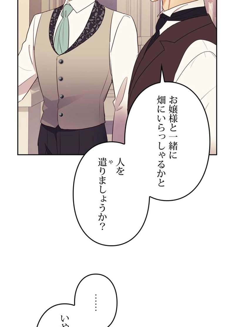 P53