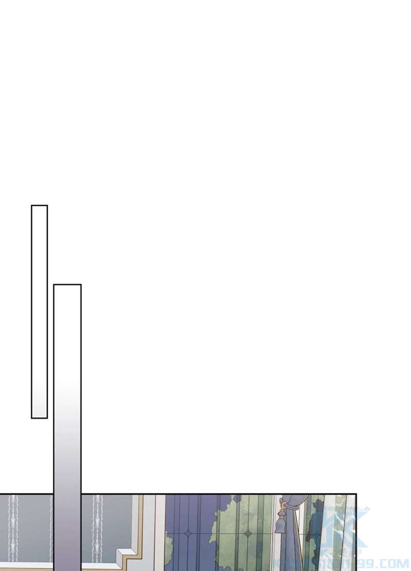 P61