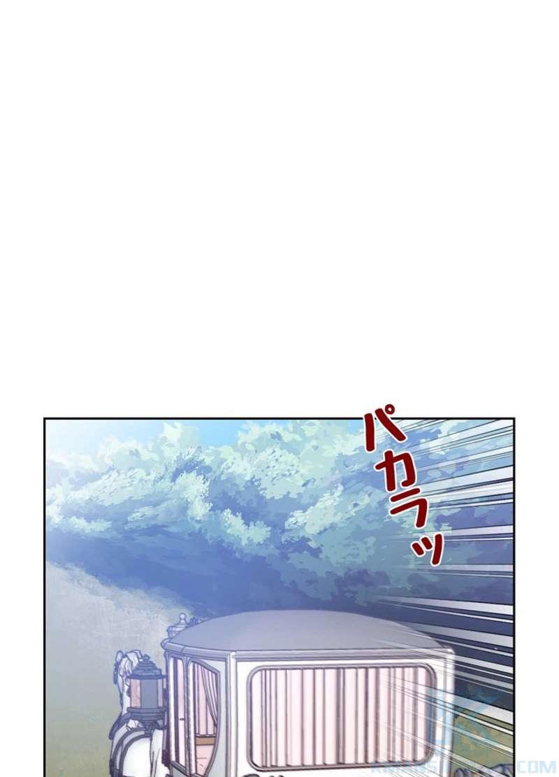 P61