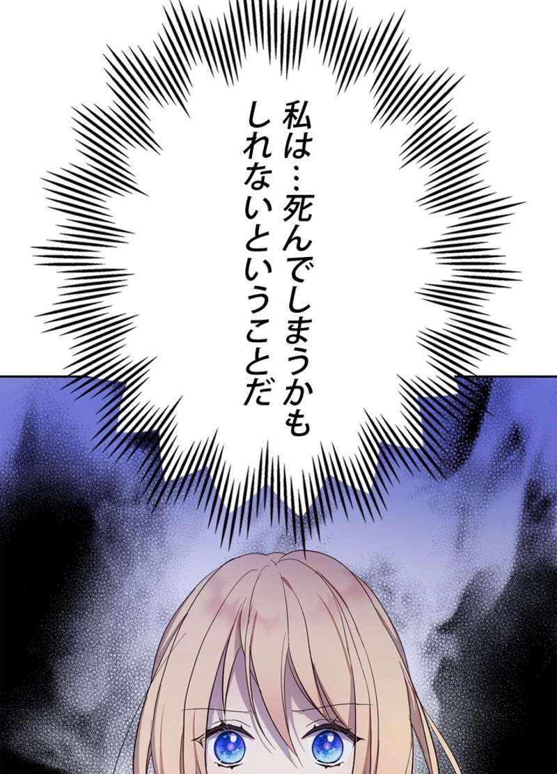P41