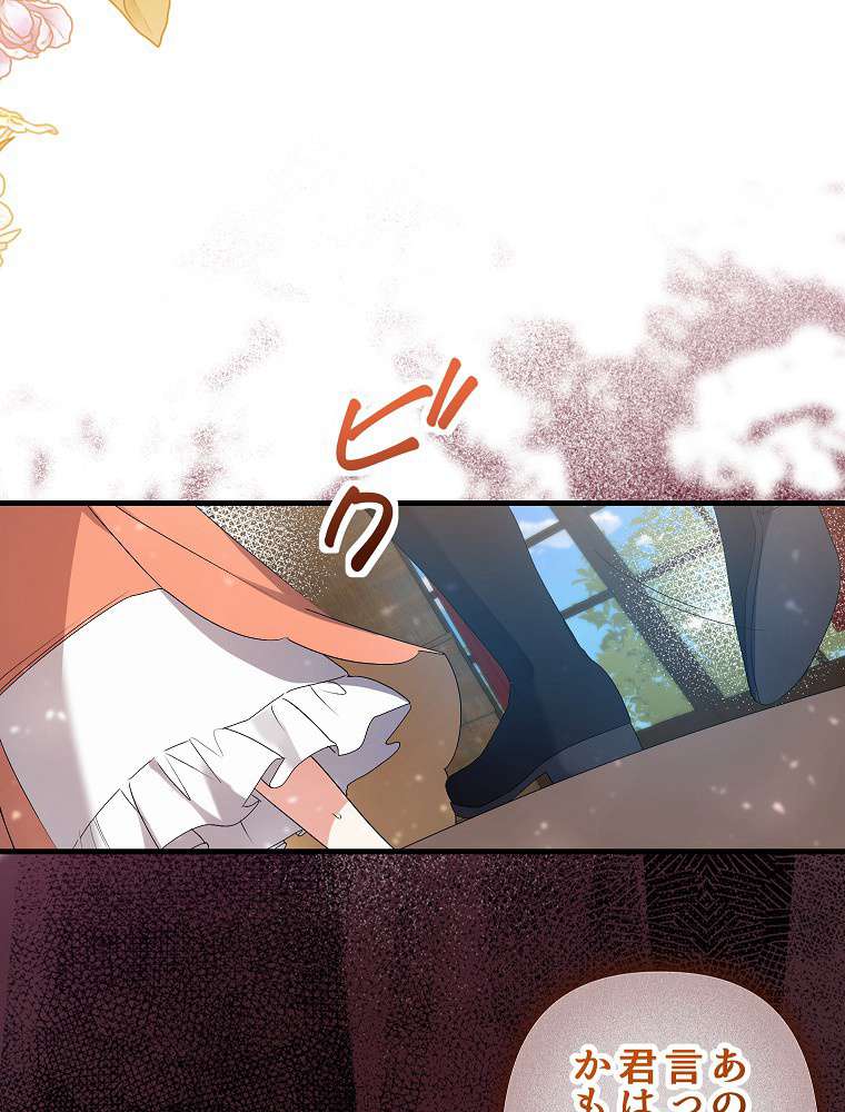 P53