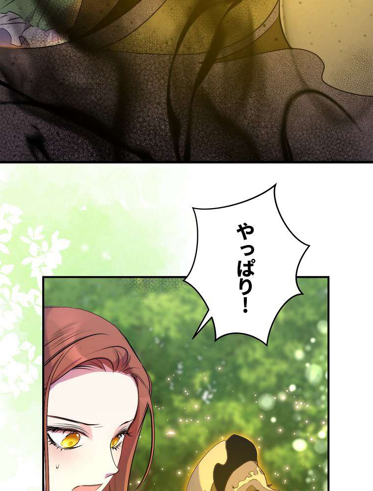 P63