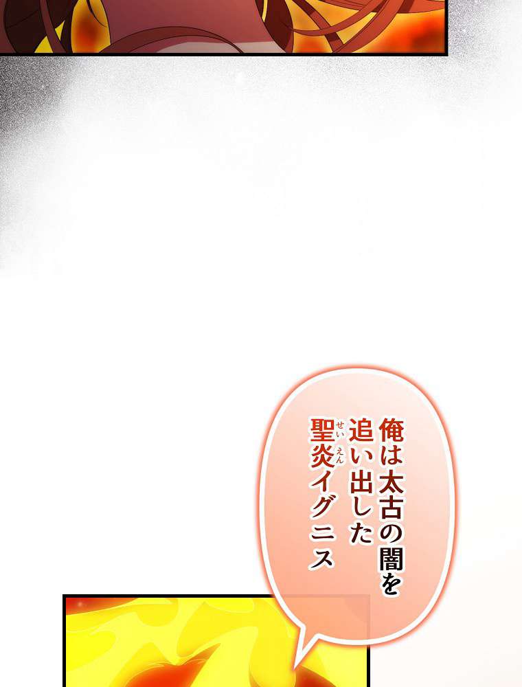P66