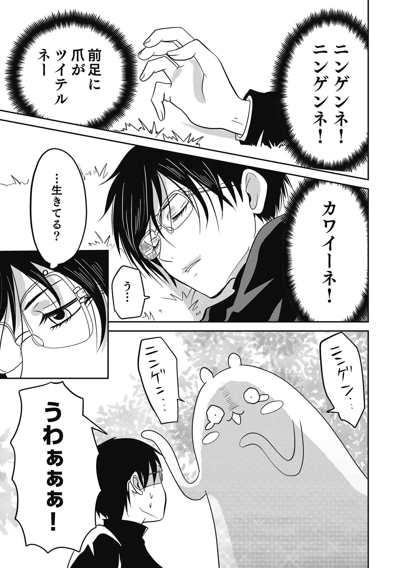 P11
