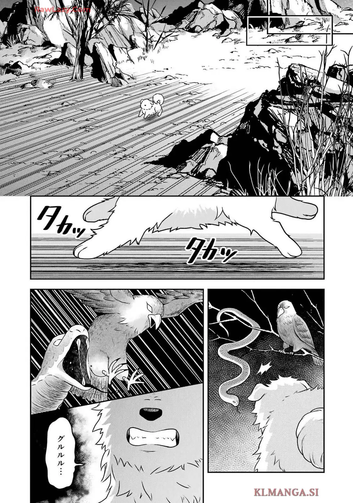 P58