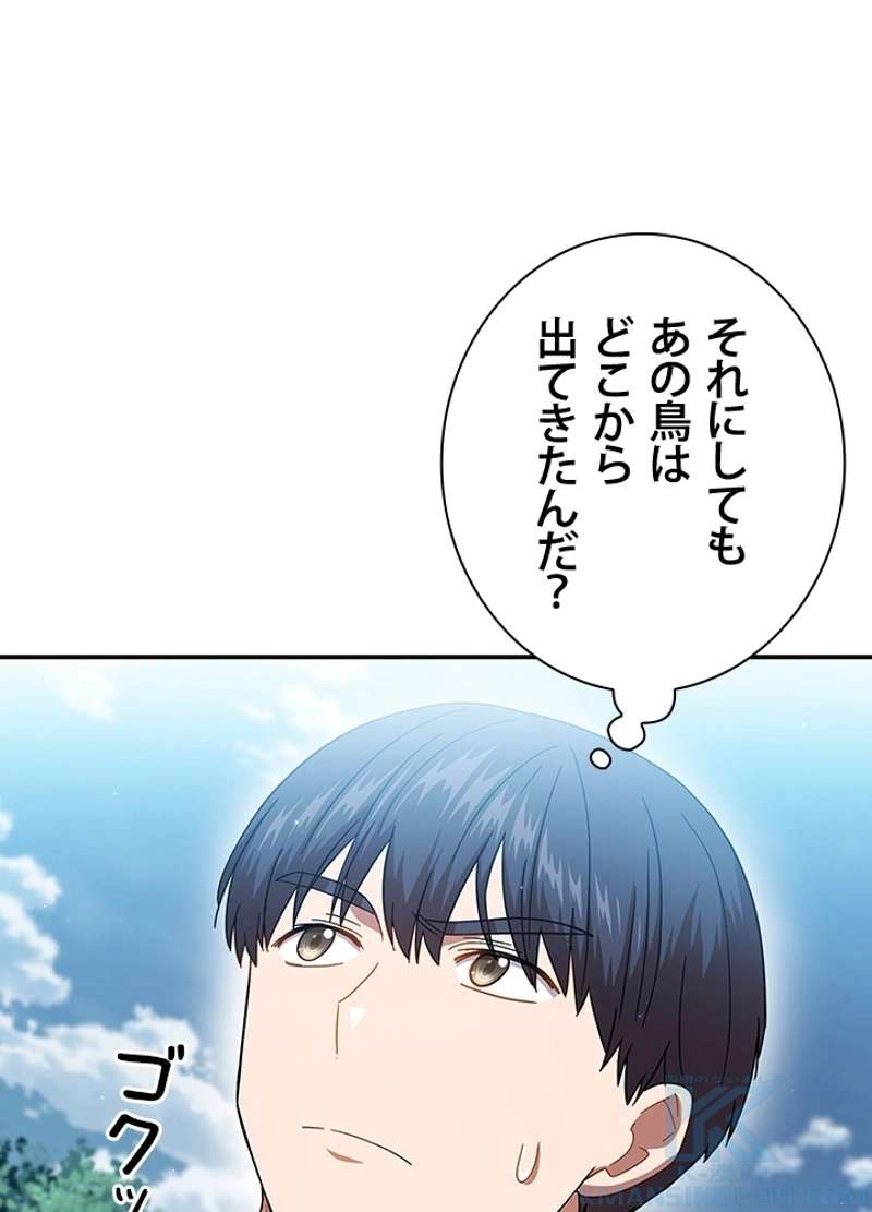 P97