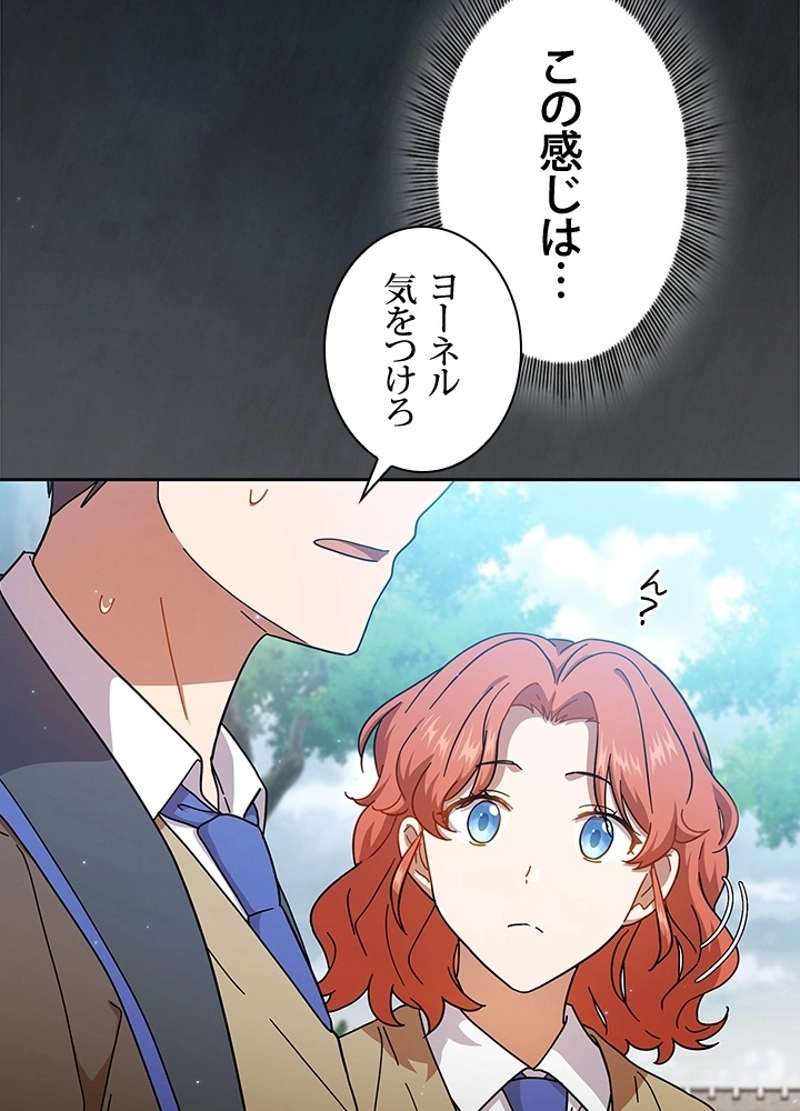 P66