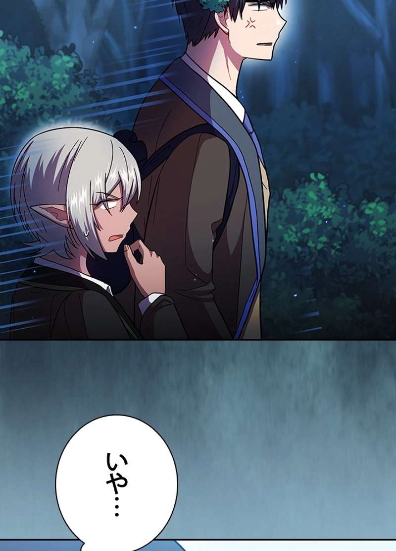P53