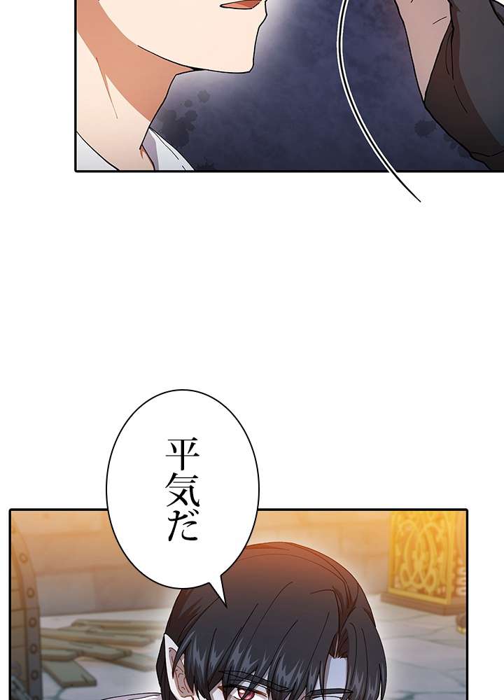 P41