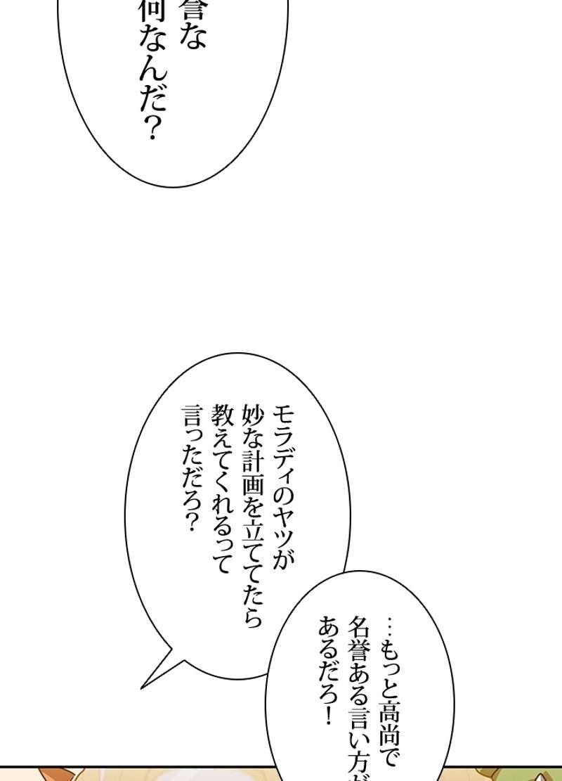 P63