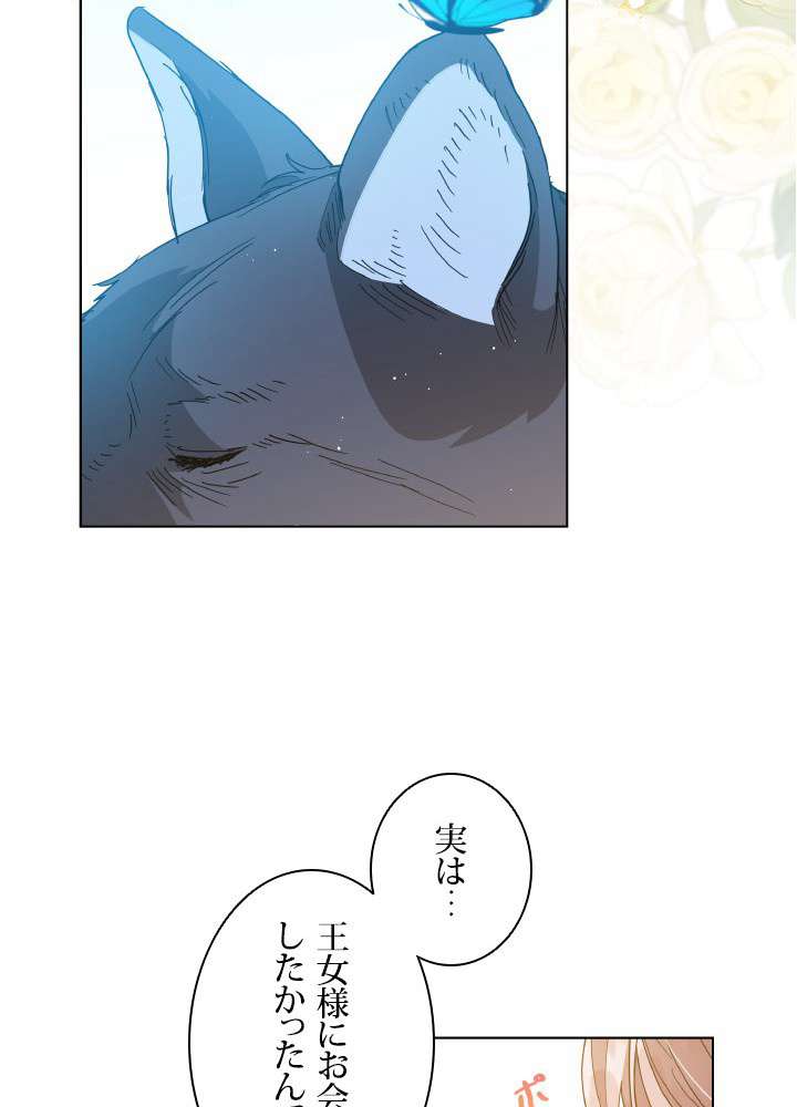 P56