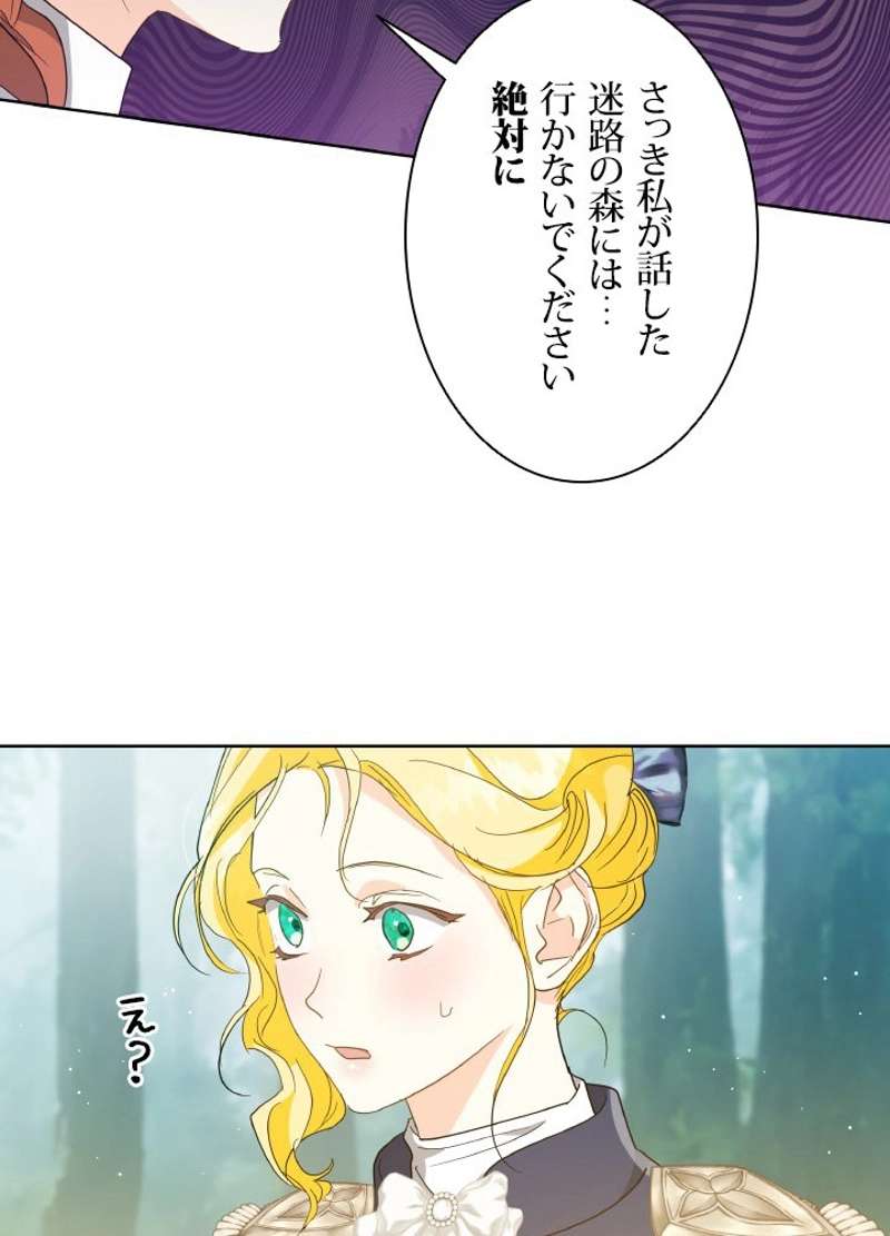 P63