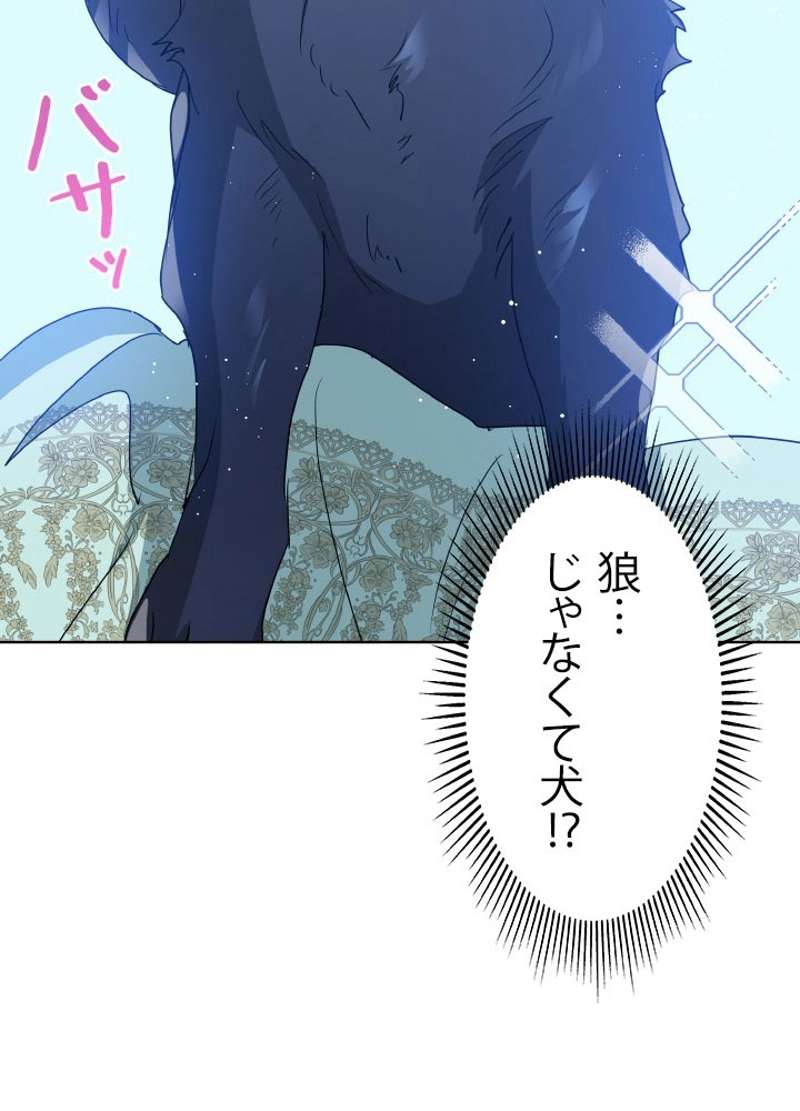 P42