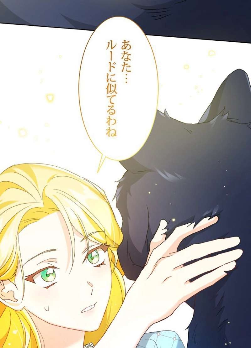 P48