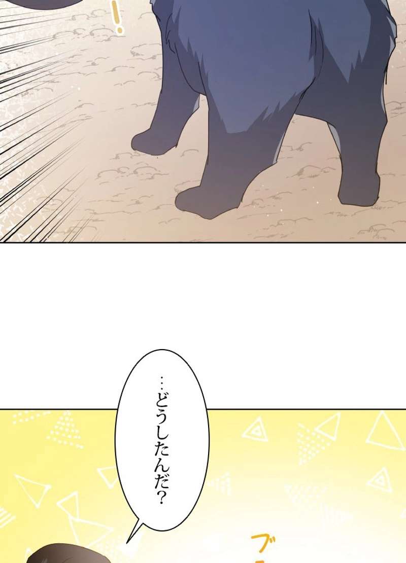 P66