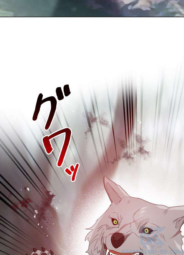 P58