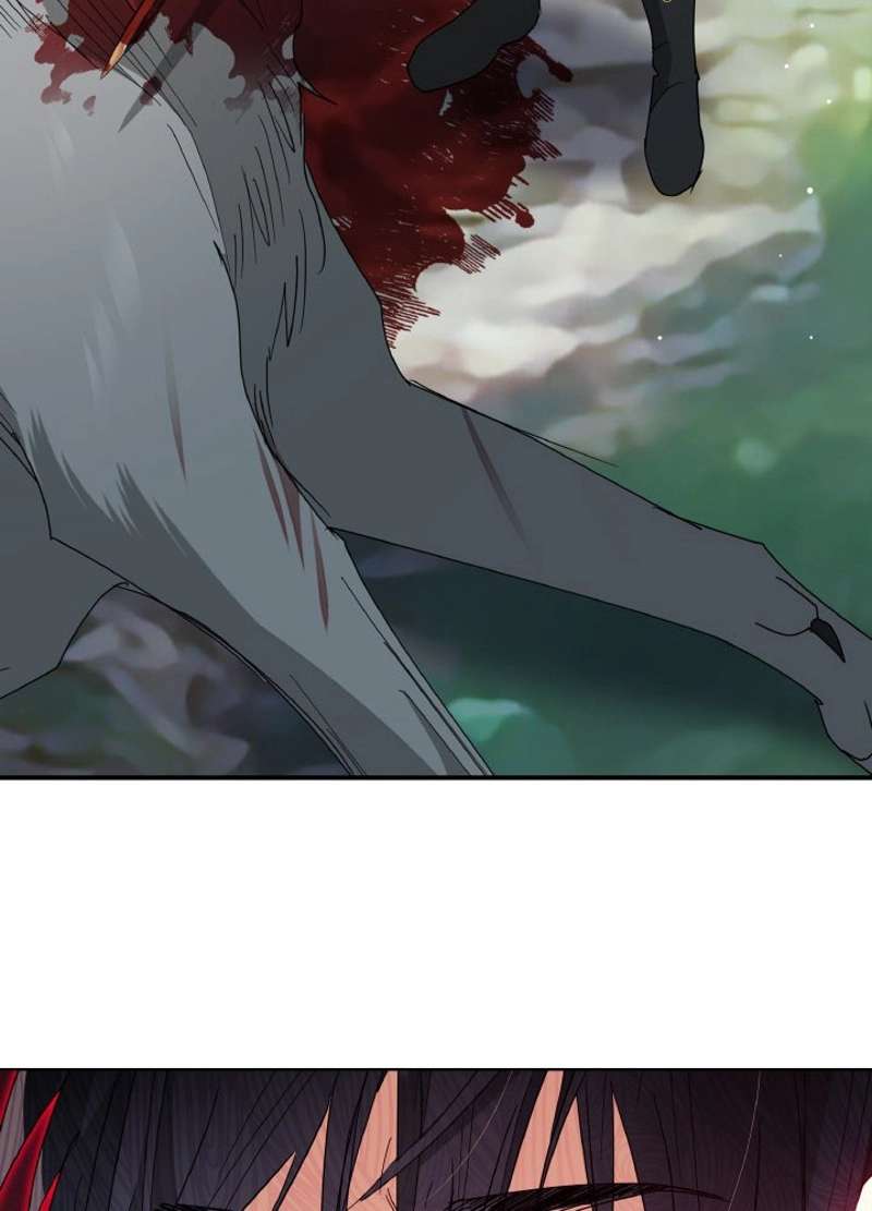 P66