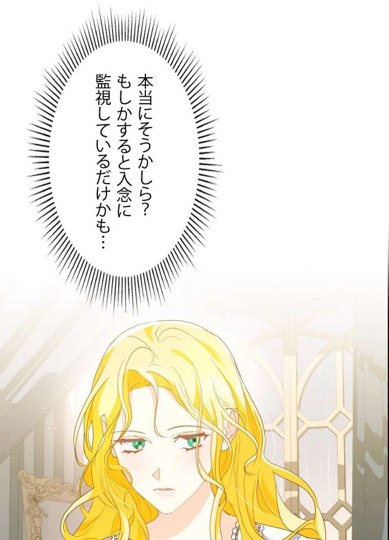 P66