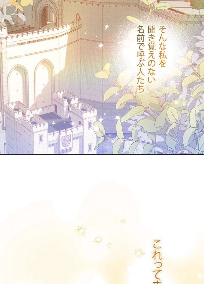 P81