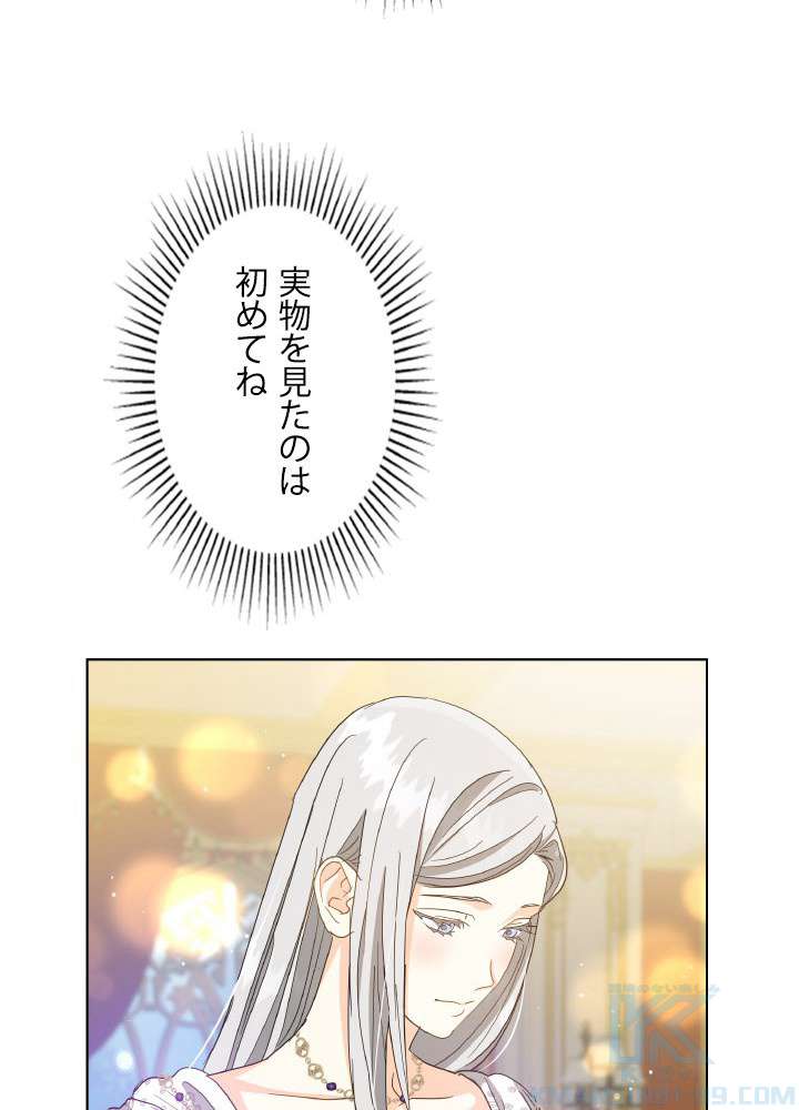 P64