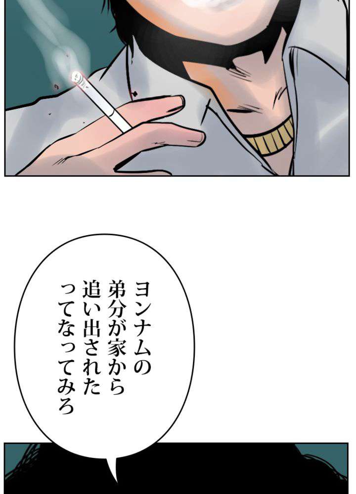 P66