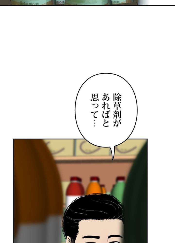 P48