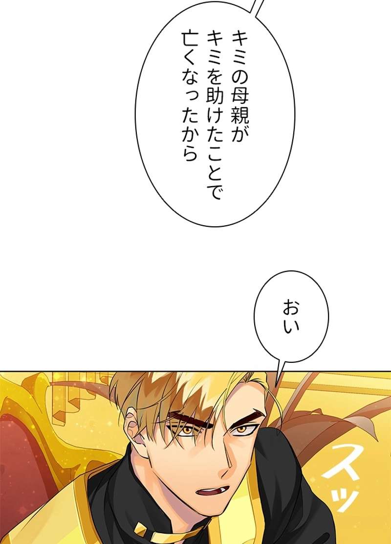 P53