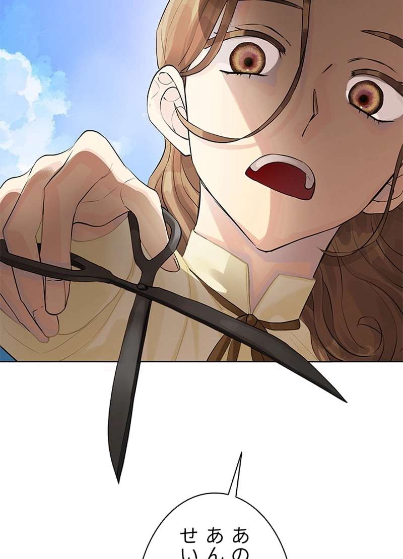 P53