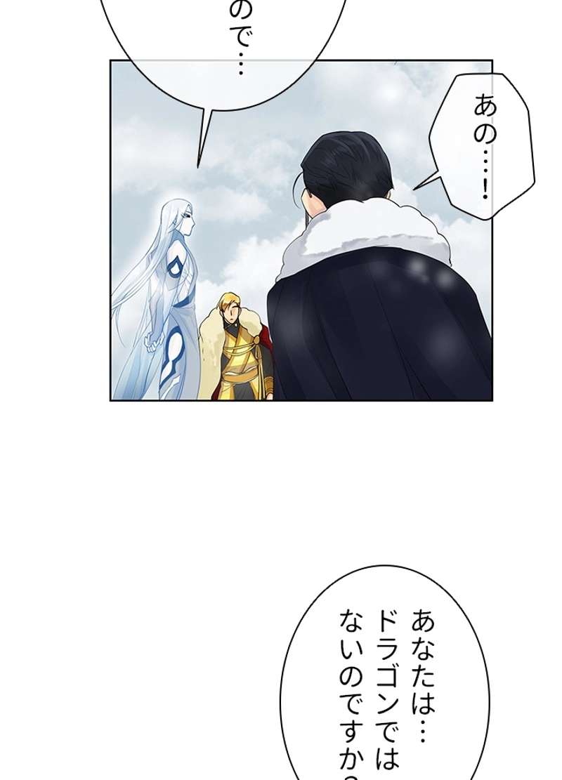P53