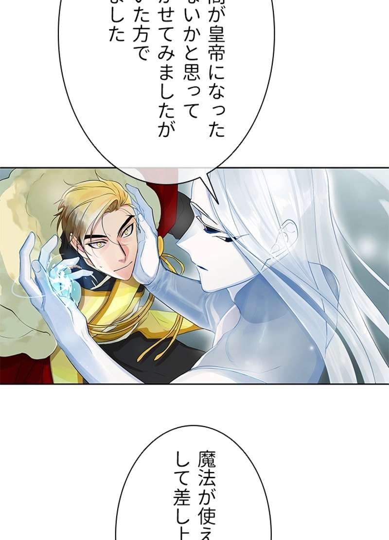 P66