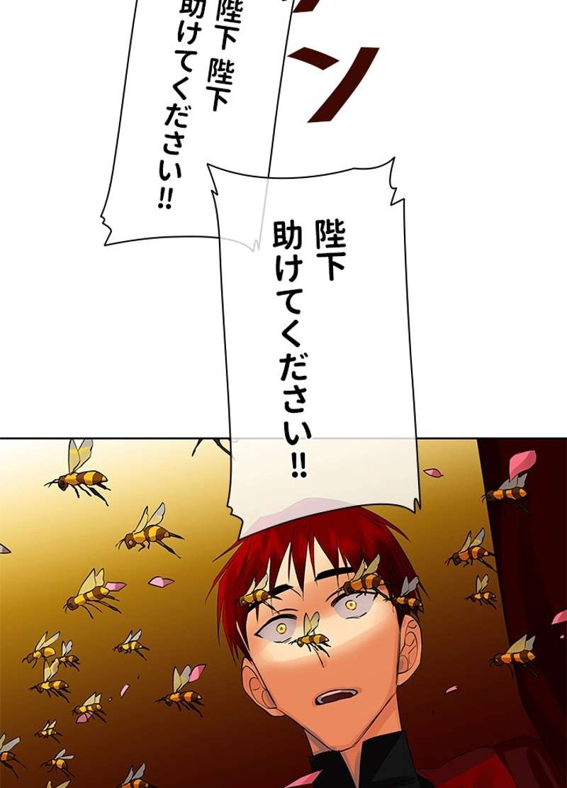 P65
