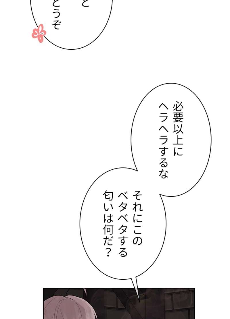 P53