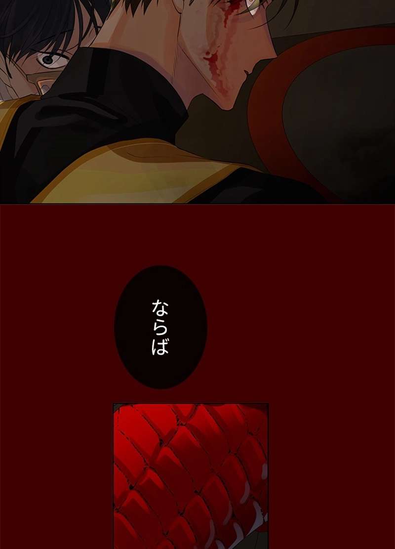 P66