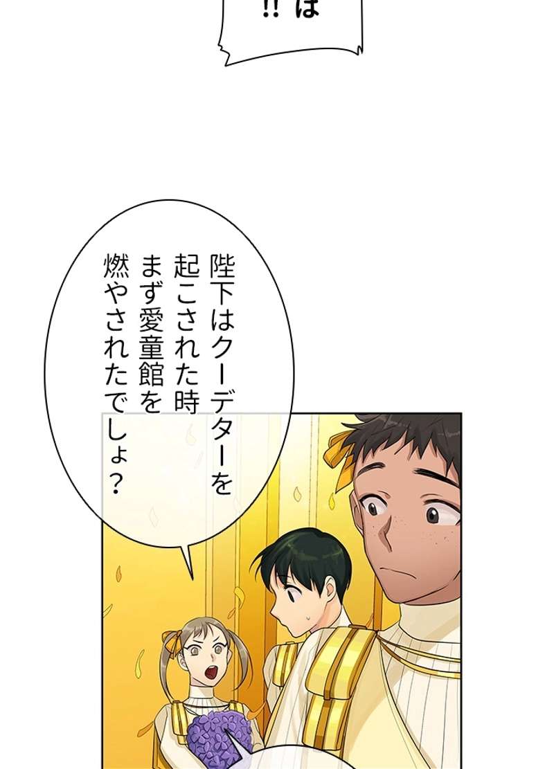 P66