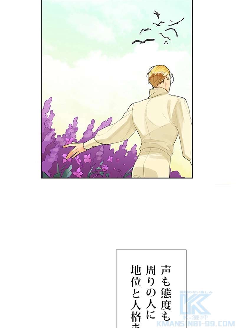 P46