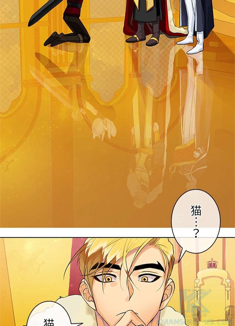 P49