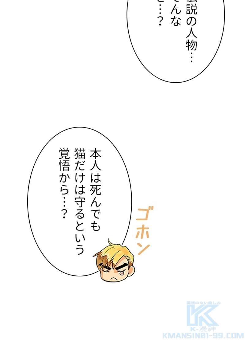 P64