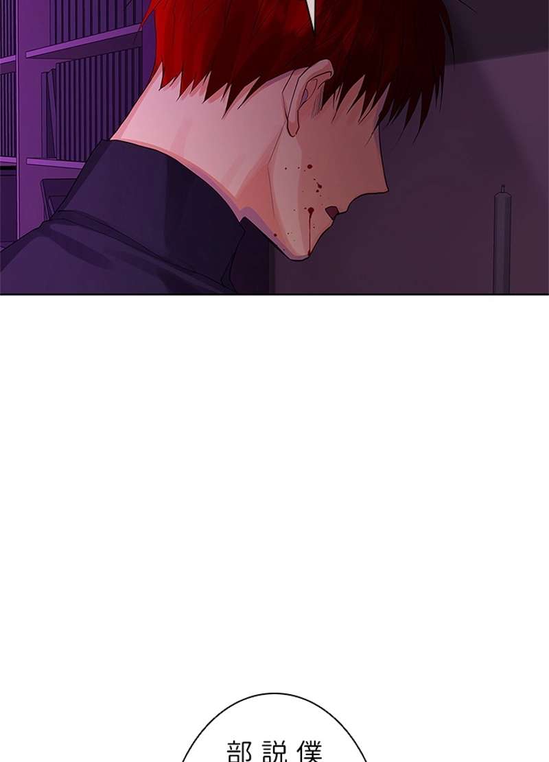 P41