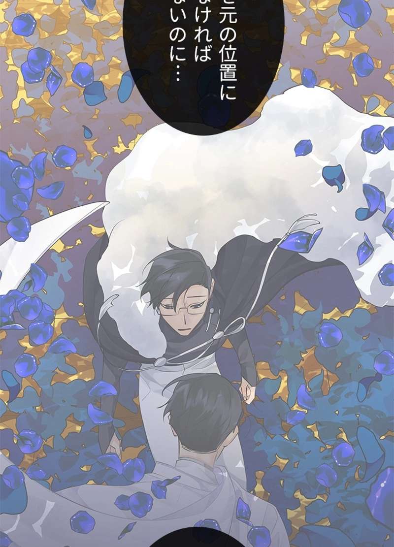 P53