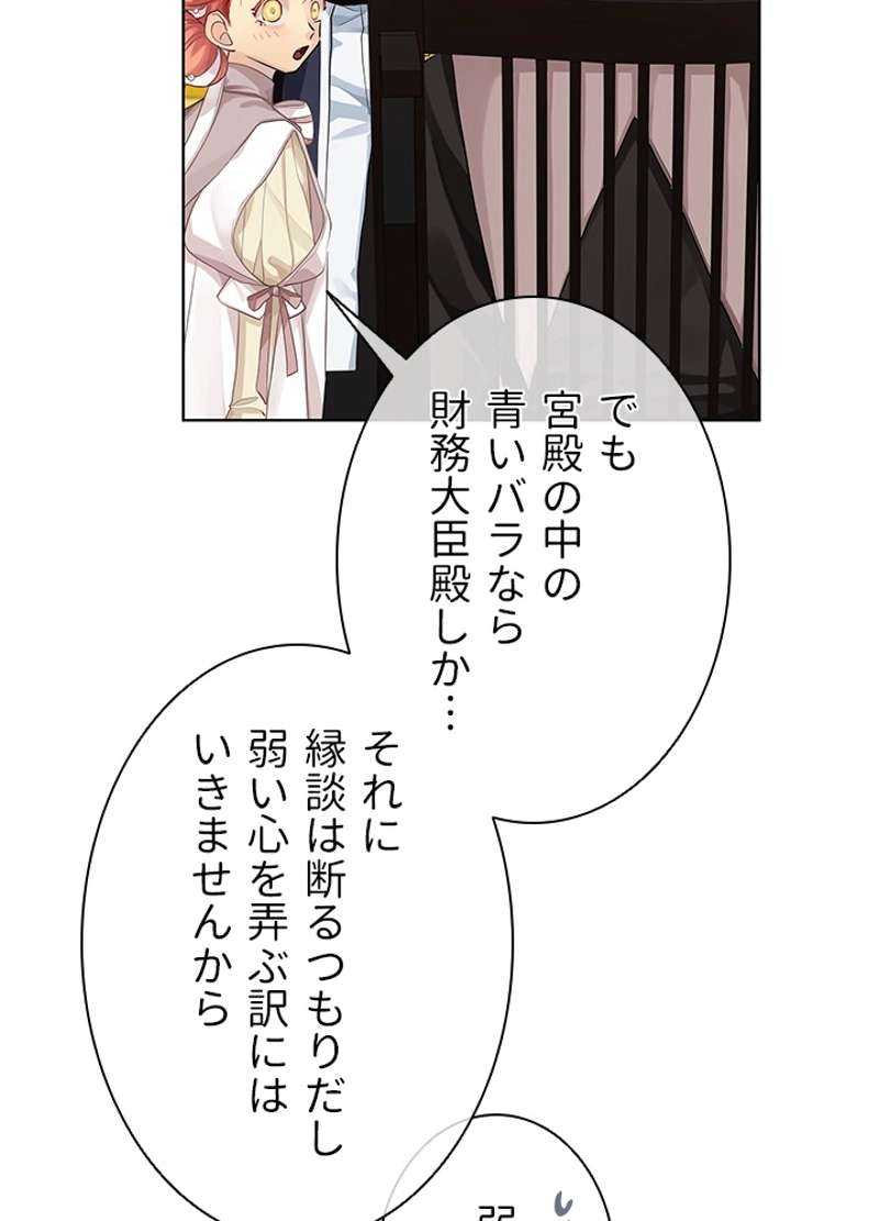 P81