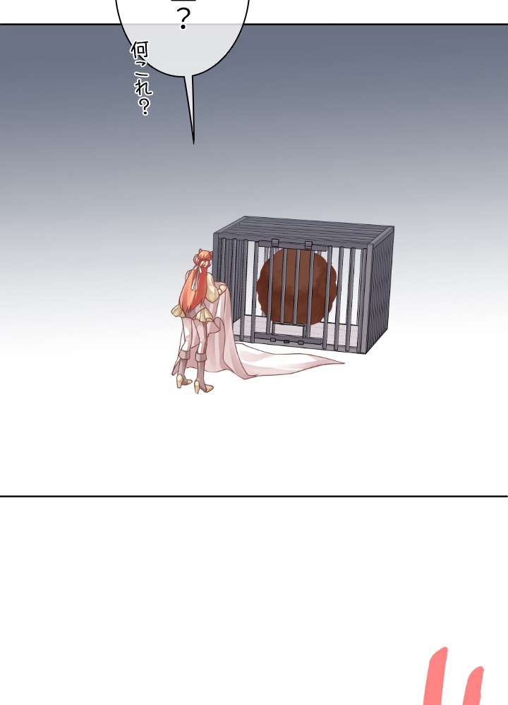 P63