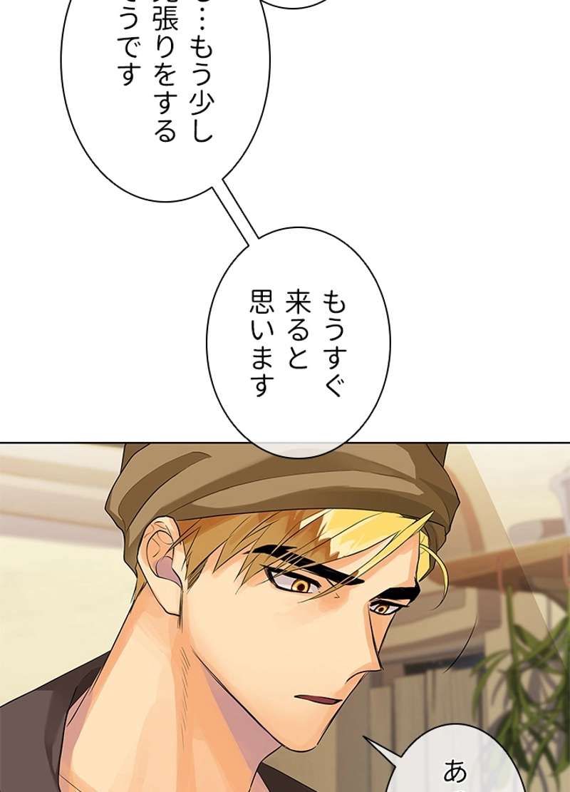 P63