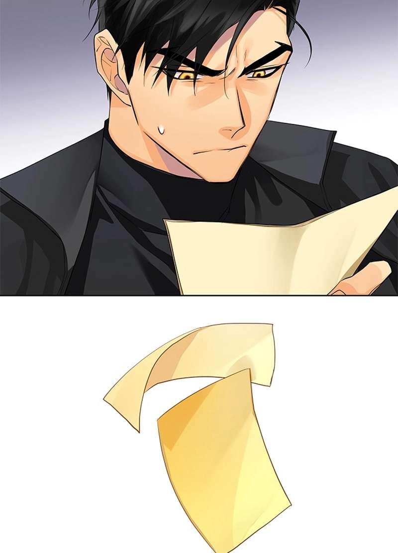 P53