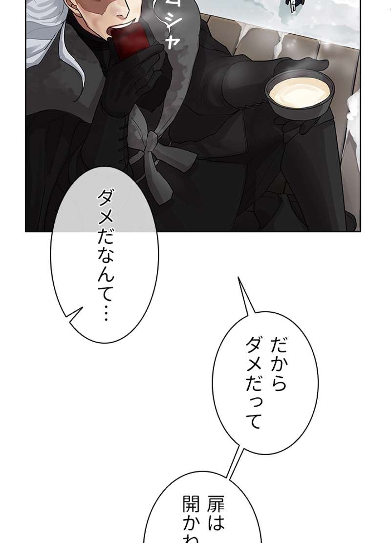 P41